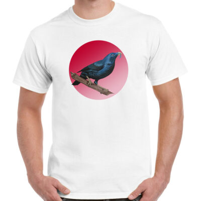 Satin Bowerbird Thumbnail