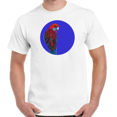 Crimson Rosella Thumbnail