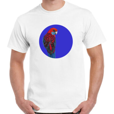 Crimson Rosella 2 Thumbnail