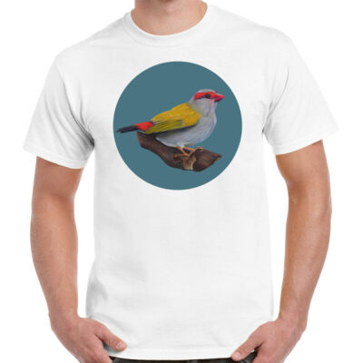 Red Browed Finch Thumbnail