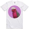 AS Colour Adult Staple Tee  Thumbnail