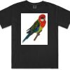 Gildan Adult Comfort Colours Tee Thumbnail